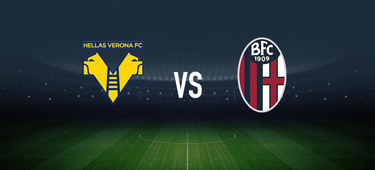 定表现为球 定表现为球