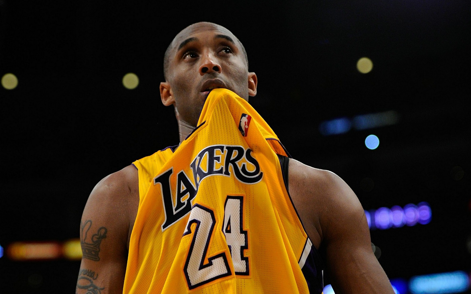 体育消费的 体育消费的