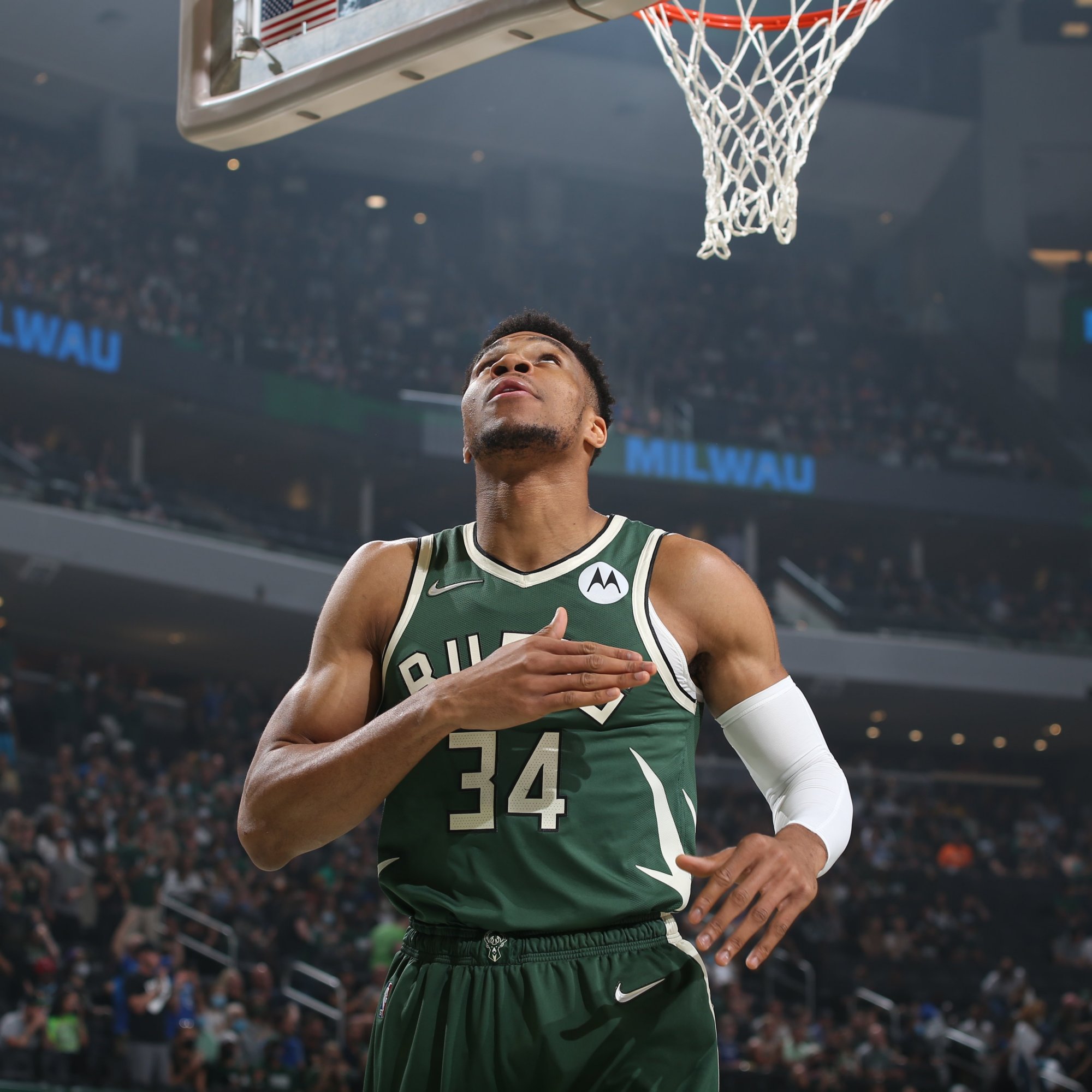 前期野区动 前期野区动