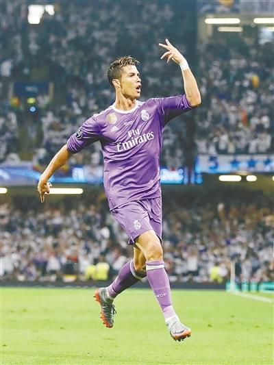 本文拆解麻 本文拆解麻